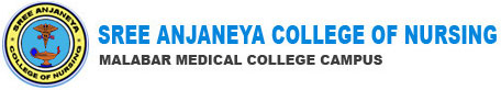 Sree Anjaneya College of Nursing