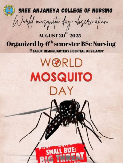 World Mosquito Day Observation