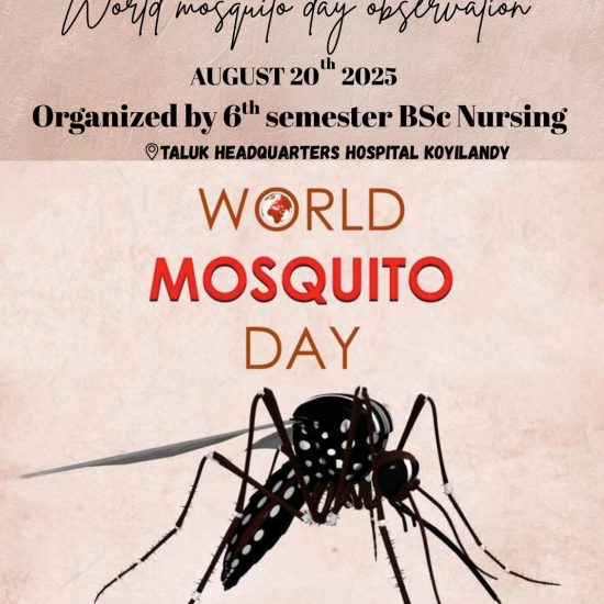World Mosquito Day Observation