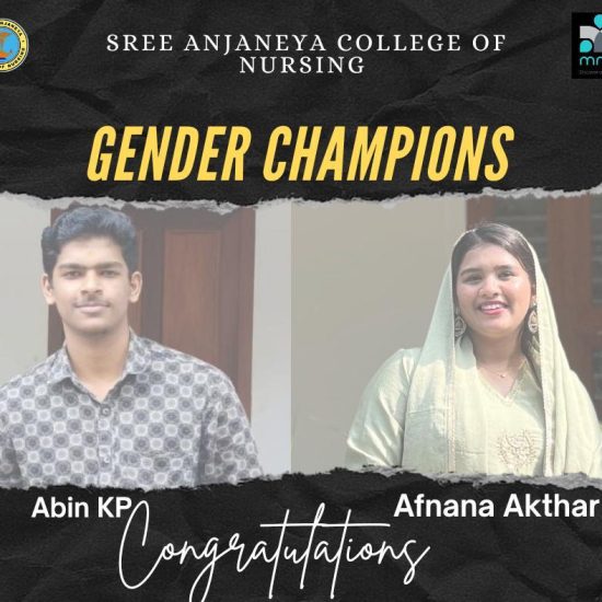 Gender Champions